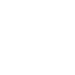 Common Pests In Melbourne - Knowledge Base 192