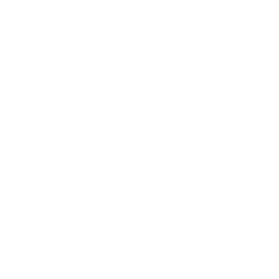 Spider Pest Control 111