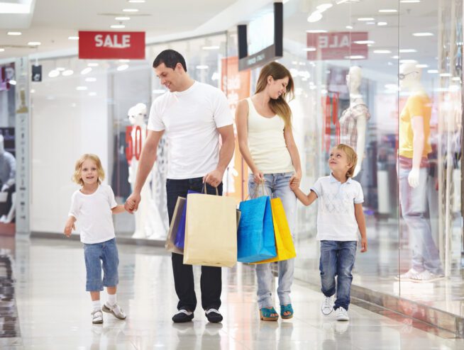 Effective Pest Control For Melbourne Shopping Centres Keep Your Customers Safe