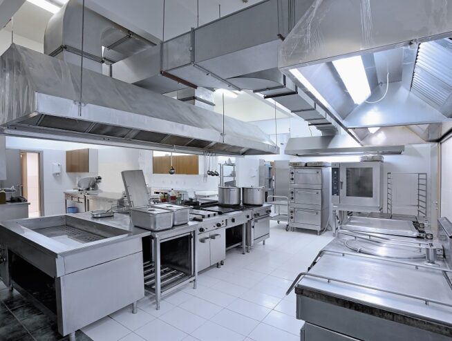 Pest Control Services For Commercial Kitchens In Melbourne