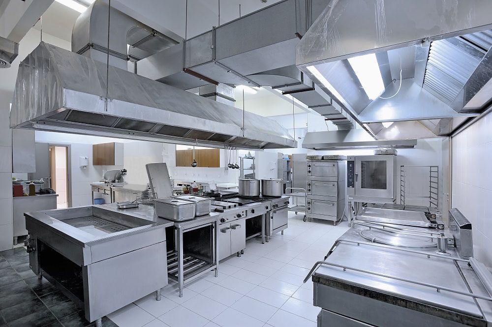 Pest Control Services For Commercial Kitchens In Melbourne