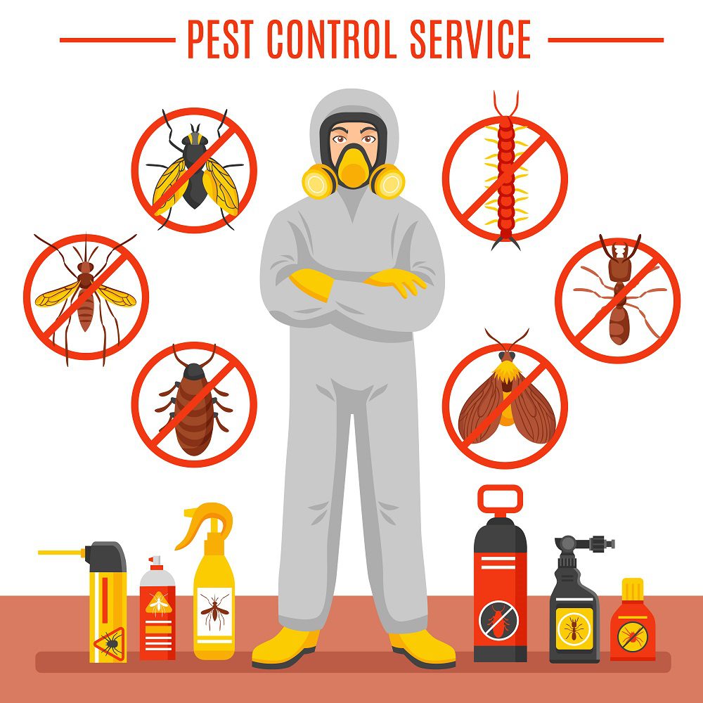 Pest Control For Schools, Colleges, & Universities In Melbourne