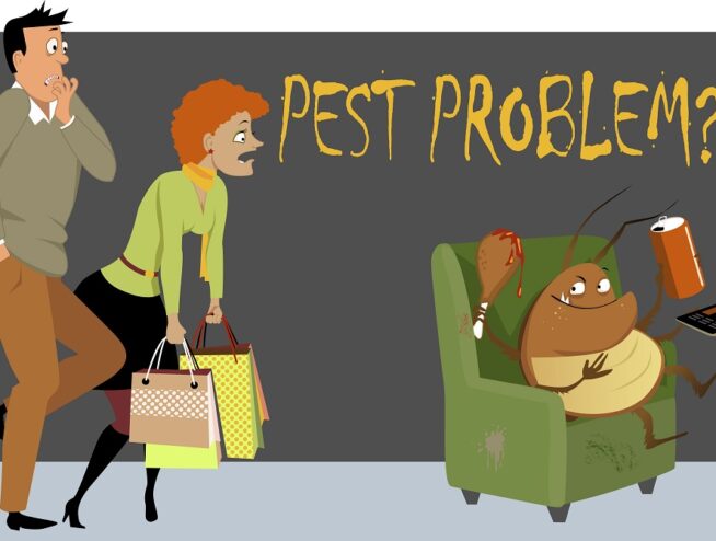 What is the Best Season for Pest Control