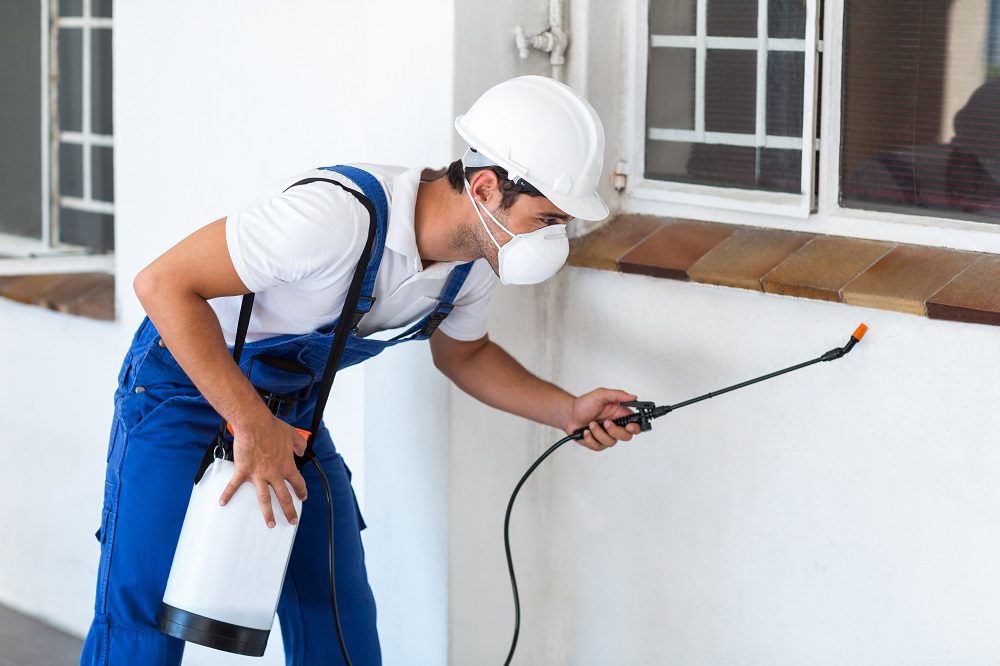 What is the Most Popular Pest Control Method in Australia