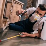How Often Do You Need Pest Control In Australia