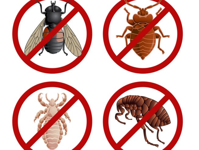 What Pest Is The Most Damaging To A House Or Business