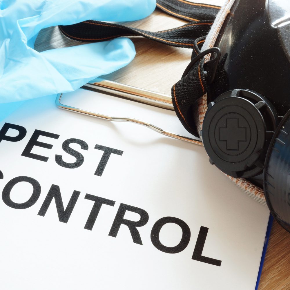 Commercial Pest Removal - Hygiene Regulations In VIC