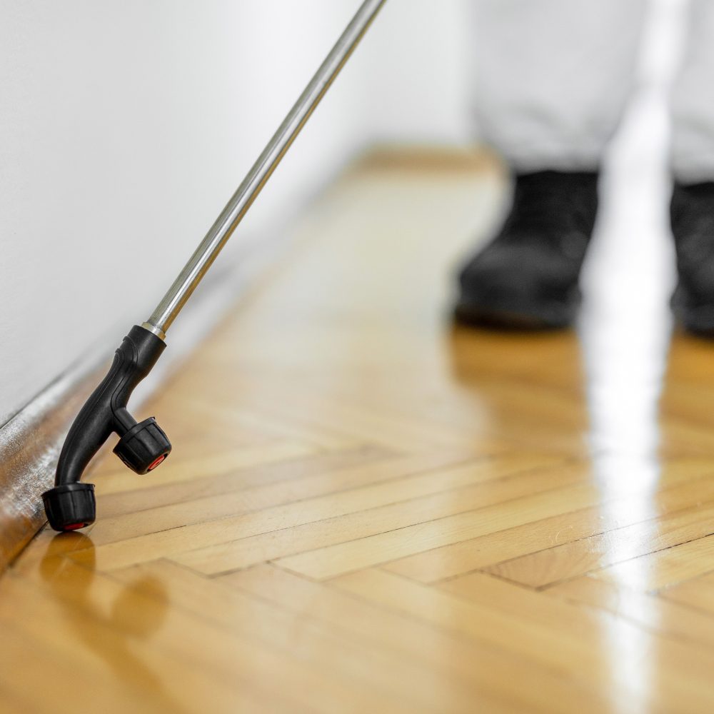 Commercial Pest Removal Process In Melbourne