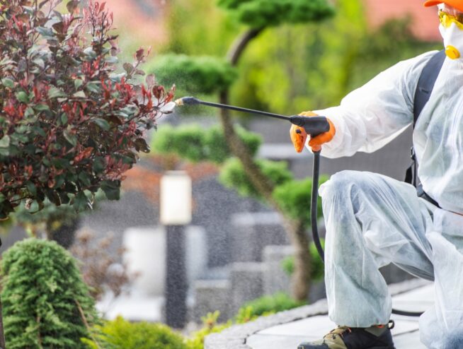 Broadmeadows VIC Pest Control Experts | Safe & Reliable 89