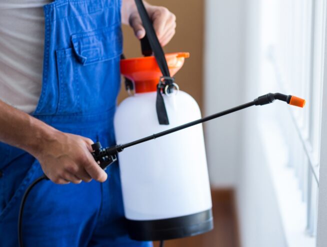 Parkville, VIC Pest Control | Local Experts Nearby 145