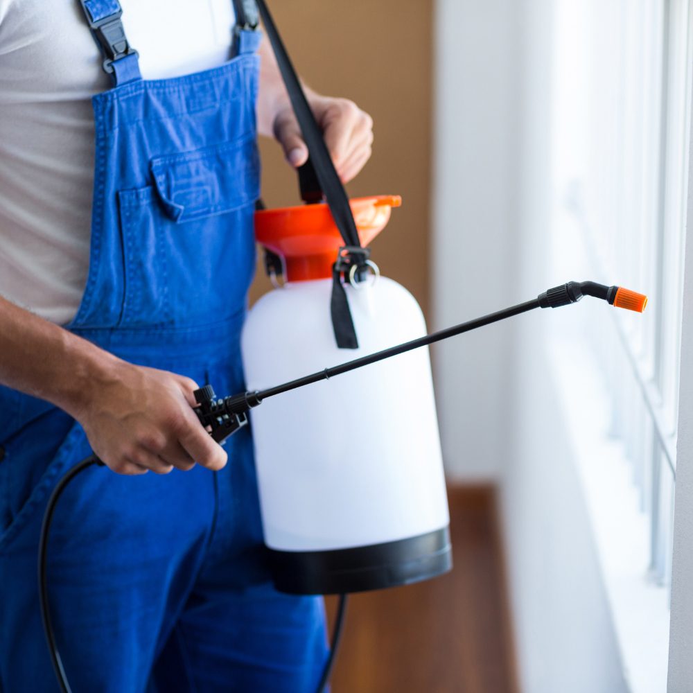 Parkville, VIC Pest Control | Local Experts Nearby 73