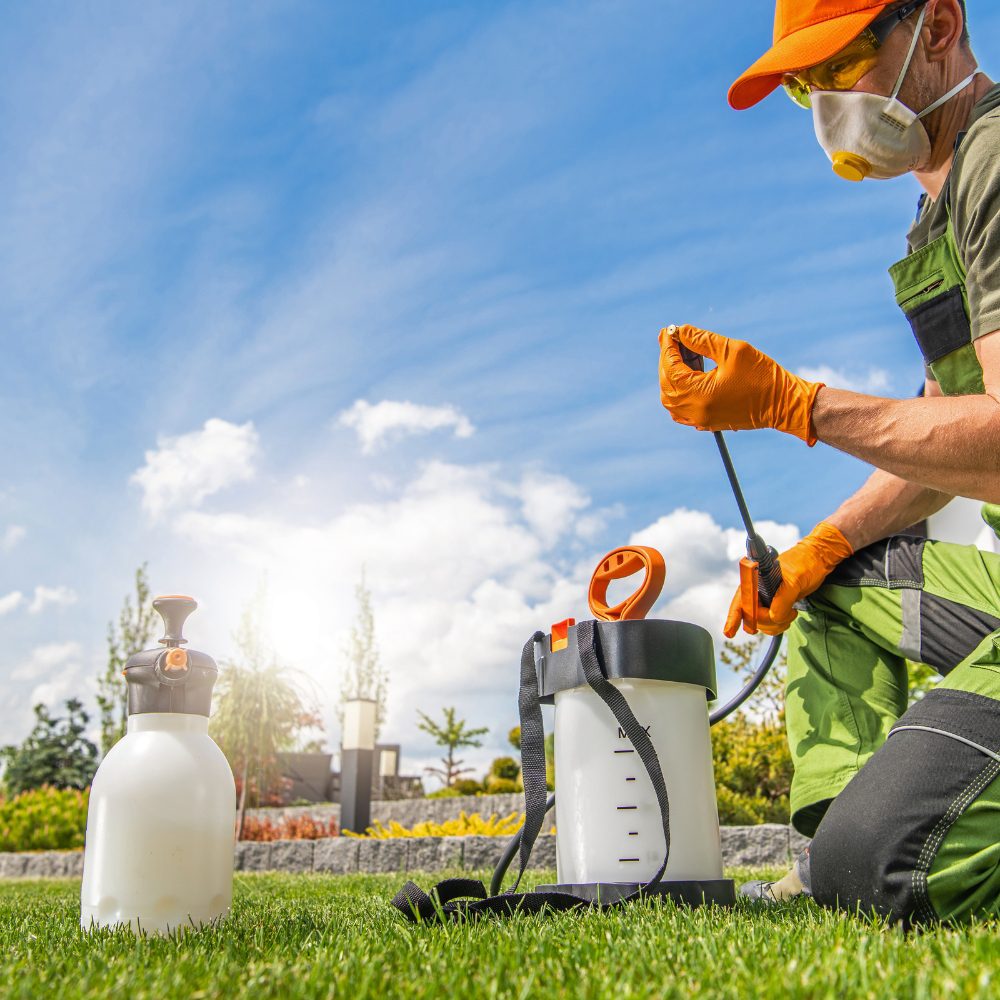 Altona Meadows VIC Pest Control Services | Get Help Now 73