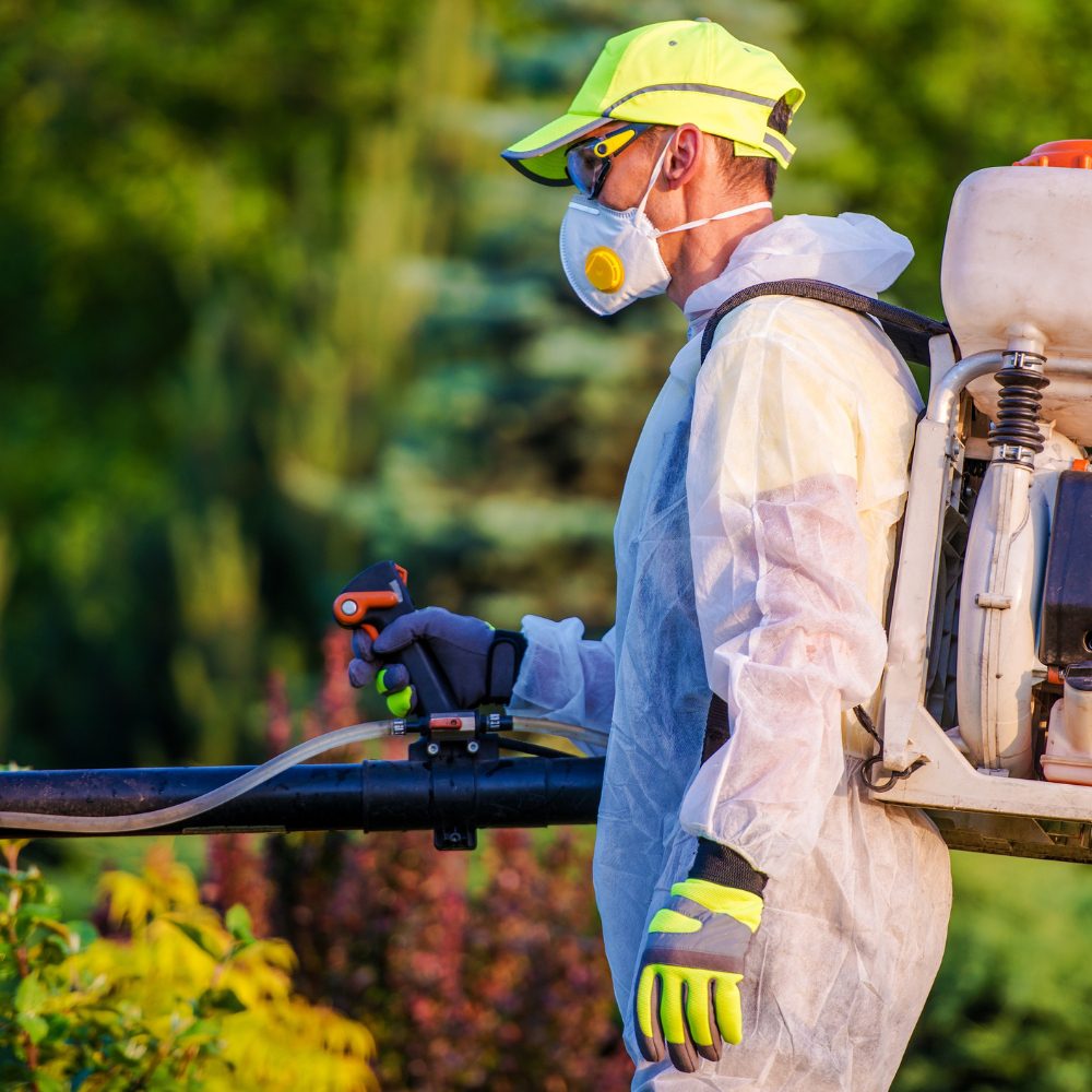 Pest Control Company Hadfield 3046 73