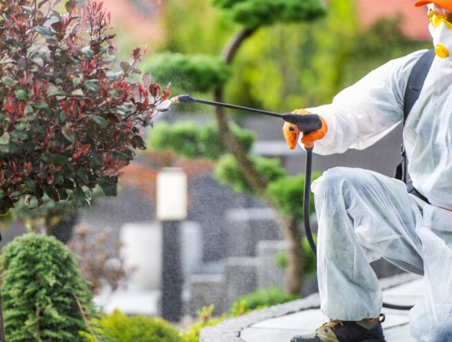 Pest Control Company Glenroy 3046 89