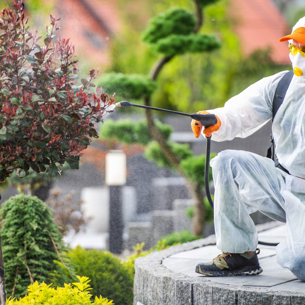 Pest Control Company Glenroy 3046 73