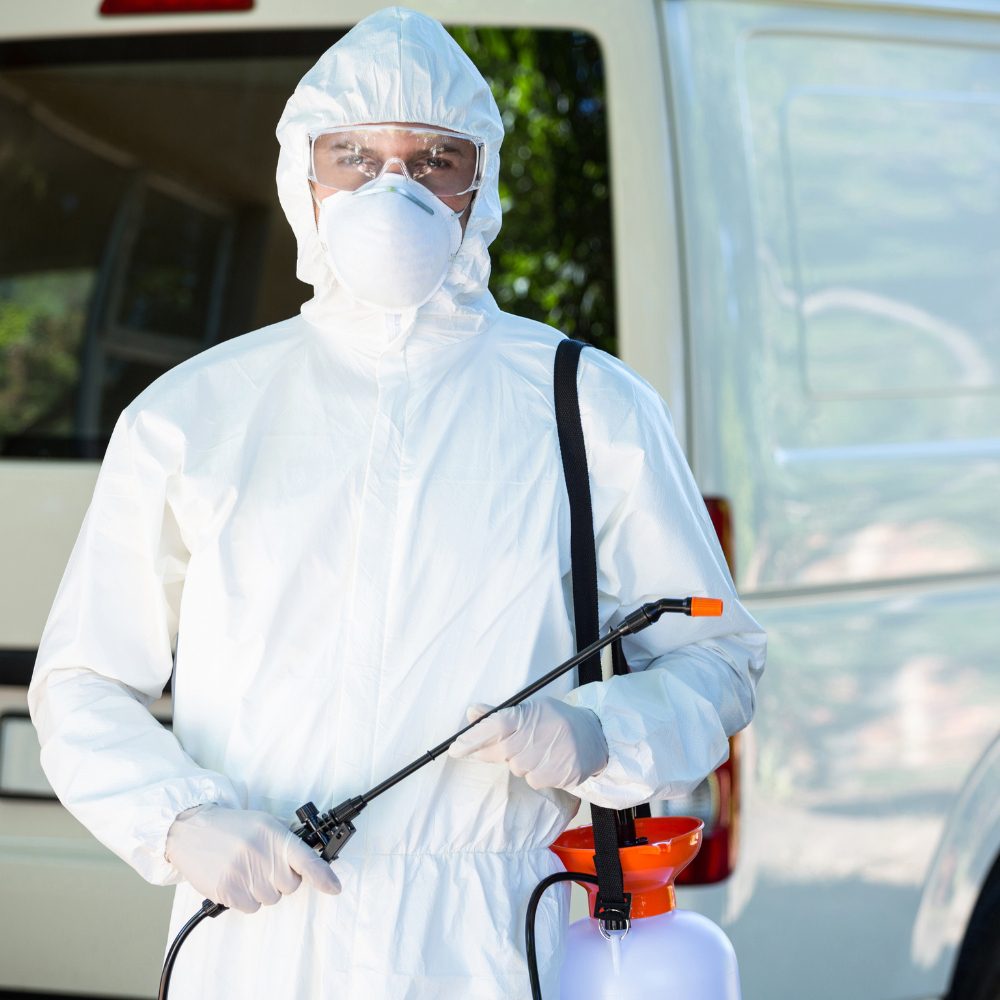 Pest Control Company Pascoe Vale 3044 73