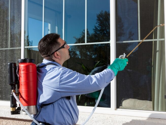 Expert Pest Control Services in Reservoir North 3073 169