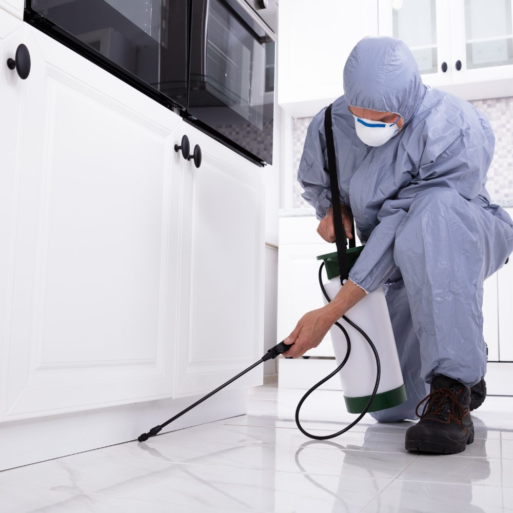 Pest Control Company Deer Park East 3022 73